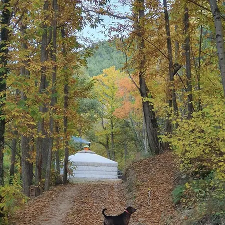 Le P'tit Bonheur キャンプ場 *