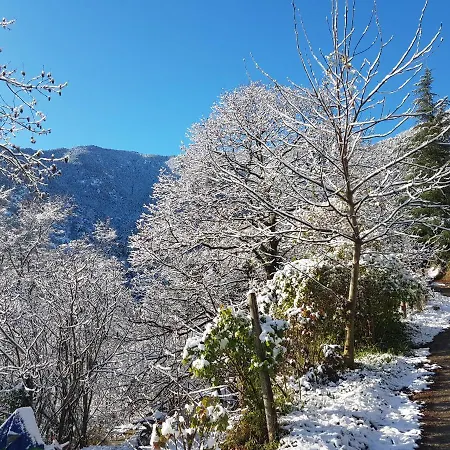 Le P'tit Bonheur Campsite *
