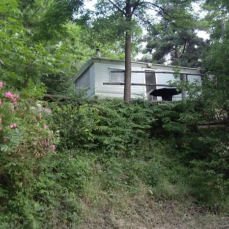 Le P'tit Bonheur Escaro