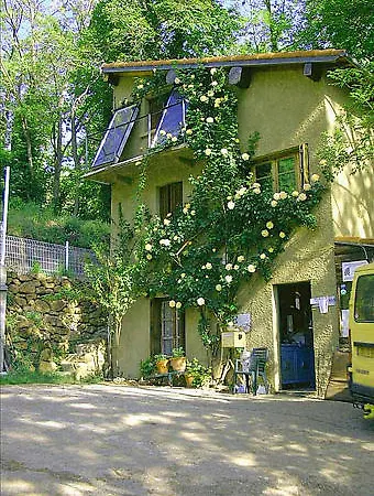 Le P'tit Bonheur Escaro