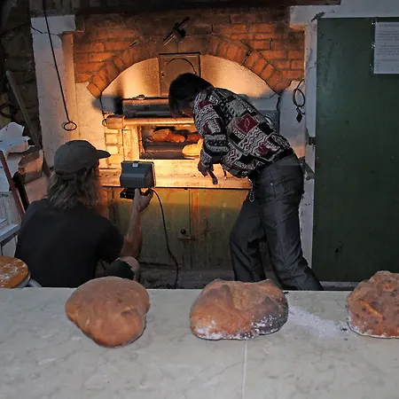 キャンプ場 Le P'tit Bonheur