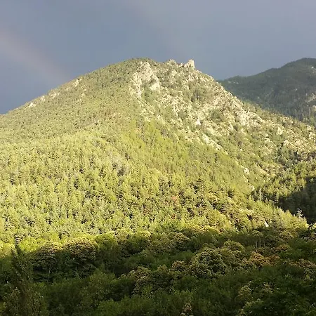 キャンプ場 Le P'tit Bonheur *