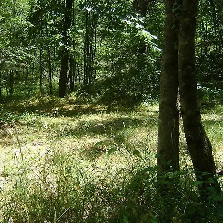 Campsite Le P'tit Bonheur