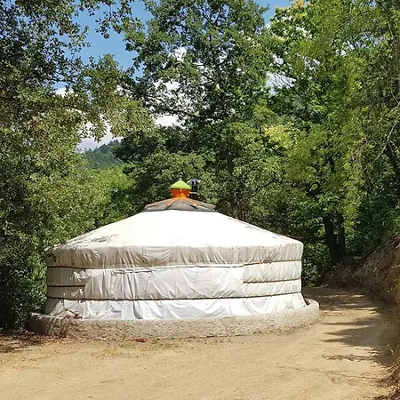 Le P'tit Bonheur * Escaro