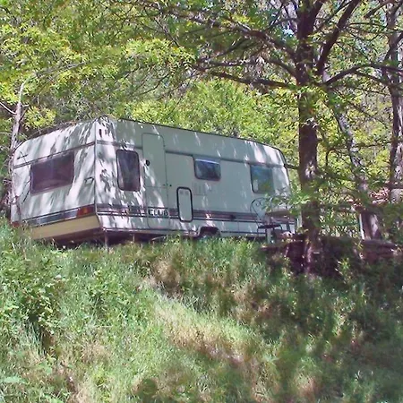 Le P'tit Bonheur * Escaro