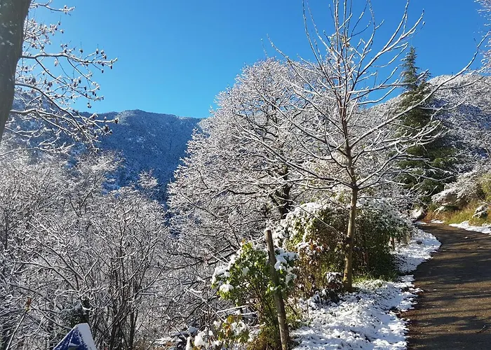 Camping Le P'tit Bonheur مكان تخييم *