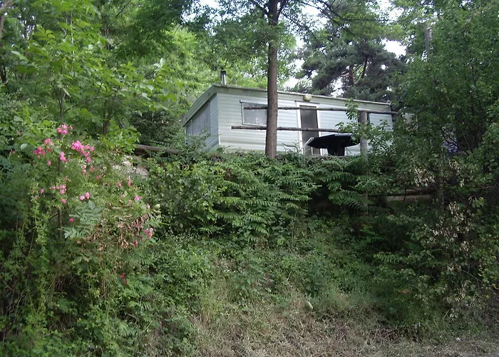 Camping Le P'tit Bonheur Escaro