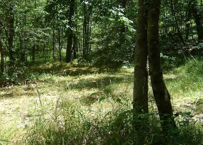 مكان تخييم Camping Le P'tit Bonheur